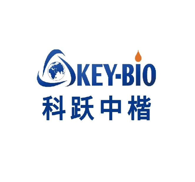 北京ip